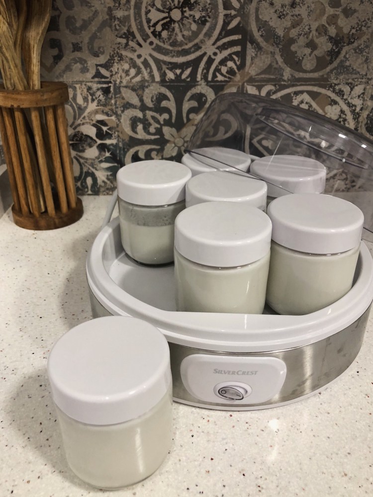 yogurt de coco casero